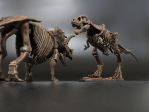 トリケラトプス全身骨格プラモデル
